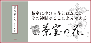 茶室の花